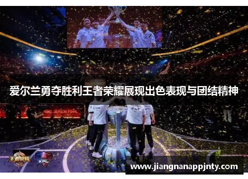 爱尔兰勇夺胜利王者荣耀展现出色表现与团结精神