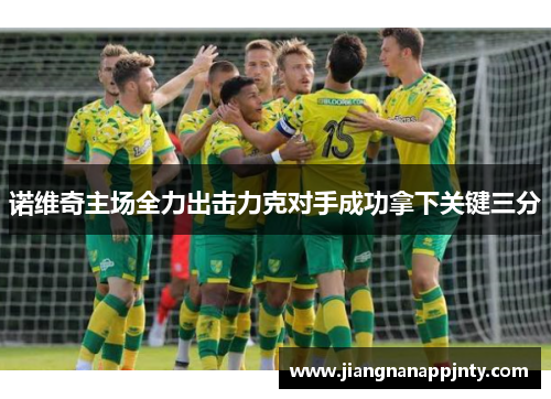 诺维奇主场全力出击力克对手成功拿下关键三分