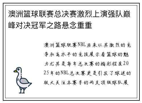 澳洲篮球联赛总决赛激烈上演强队巅峰对决冠军之路悬念重重